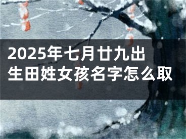 2025年七月廿九出生田姓女孩名字怎么取