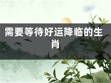 需要等待好运降临的生肖