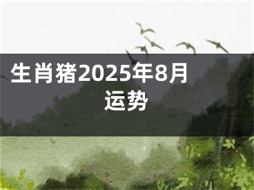 生肖猪2025年8月运势