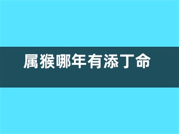 属猴哪年有添丁命
