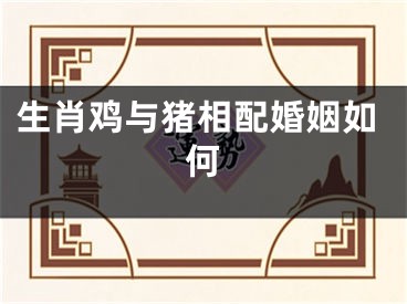 生肖鸡与猪相配婚姻如何