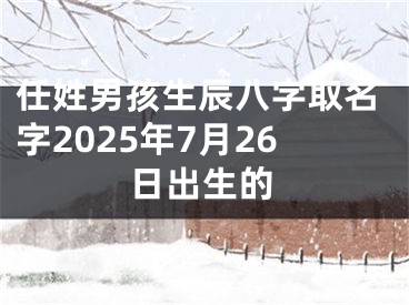 任姓男孩生辰八字取名字2025年7月26日出生的