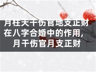 月柱天干伤官地支正财在八字合婚中的作用,月干伤官月支正财