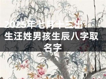 2025年七月十三出生汪姓男孩生辰八字取名字
