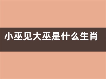 小巫见大巫是什么生肖