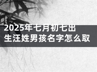 2025年七月初七出生汪姓男孩名字怎么取