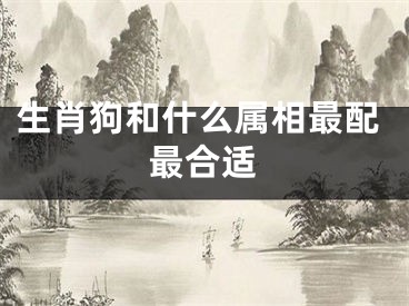 生肖狗和什么属相最配最合适