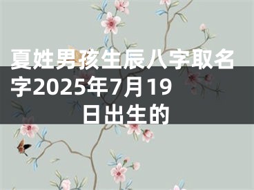 夏姓男孩生辰八字取名字2025年7月19日出生的