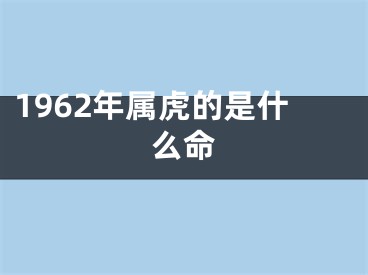1962年属虎的是什么命