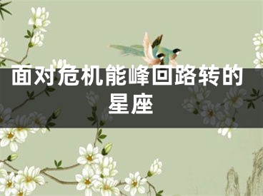 面对危机能峰回路转的星座