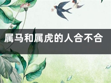 属马和属虎的人合不合