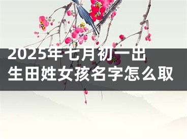 2025年七月初一出生田姓女孩名字怎么取