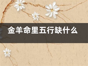 金羊命里五行缺什么