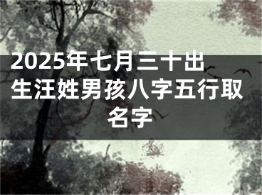 2025年七月三十出生汪姓男孩八字五行取名字