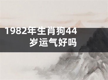 1982年生肖狗44岁运气好吗