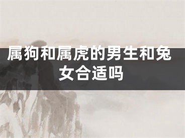 属狗和属虎的男生和兔女合适吗