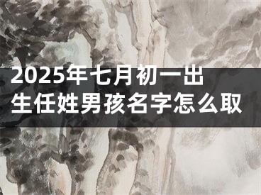 2025年七月初一出生任姓男孩名字怎么取