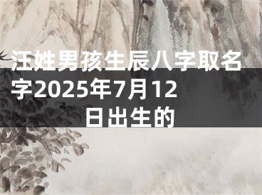 汪姓男孩生辰八字取名字2025年7月12日出生的