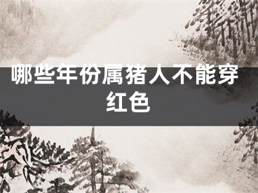 哪些年份属猪人不能穿红色