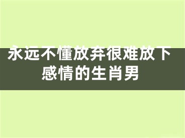 永远不懂放弃很难放下感情的生肖男