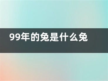 99年的兔是什么兔