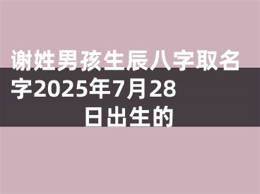 谢姓男孩生辰八字取名字2025年7月28日出生的