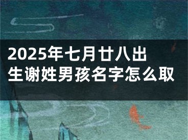 2025年七月廿八出生谢姓男孩名字怎么取
