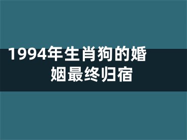 1994年生肖狗的婚姻最终归宿
