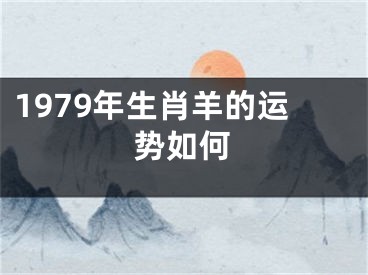 1979年生肖羊的运势如何