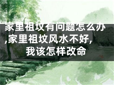 家里祖坟有问题怎么办,家里祖坟风水不好,我该怎样改命
