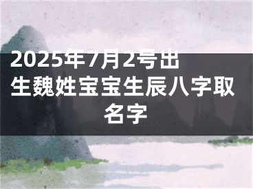 2025年7月2号出生魏姓宝宝生辰八字取名字