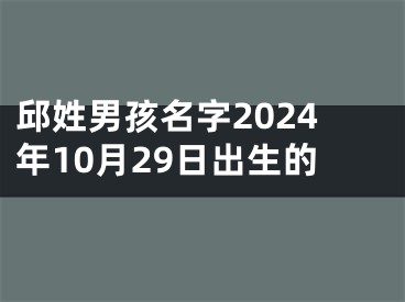 邱姓男孩名字2024年10月29日出生的