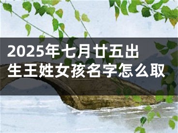 2025年七月廿五出生王姓女孩名字怎么取