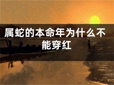 属蛇的本命年为什么不能穿红