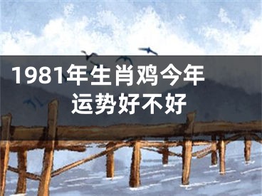 1981年生肖鸡今年运势好不好