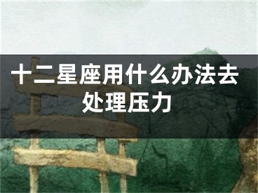 十二星座用什么办法去处理压力