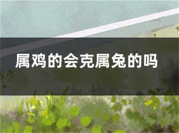 属鸡的会克属兔的吗
