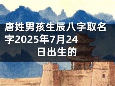 唐姓男孩生辰八字取名字2025年7月24日出生的