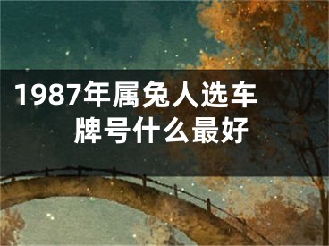 1987年属兔人选车牌号什么最好