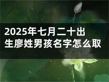 2025年七月二十出生廖姓男孩名字怎么取
