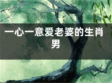 一心一意爱老婆的生肖男
