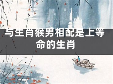与生肖猴男相配是上等命的生肖