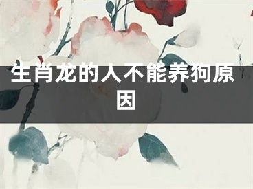 生肖龙的人不能养狗原因