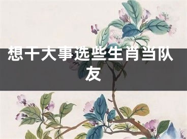 想干大事选些生肖当队友