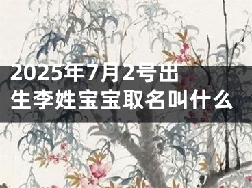 2025年7月2号出生李姓宝宝取名叫什么