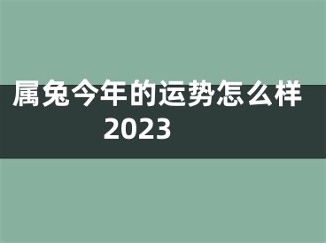 属兔今年的运势怎么样2023