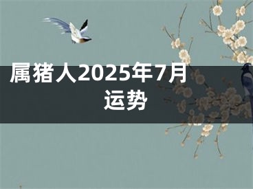 属猪人2025年7月运势