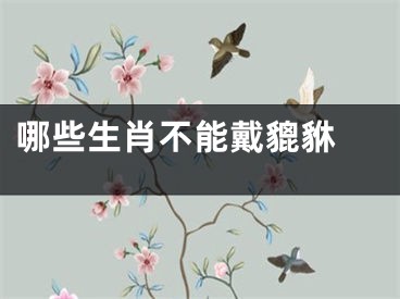 哪些生肖不能戴貔貅 