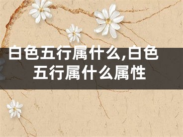 白色五行属什么,白色五行属什么属性