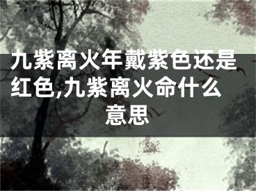 九紫离火年戴紫色还是红色,九紫离火命什么意思